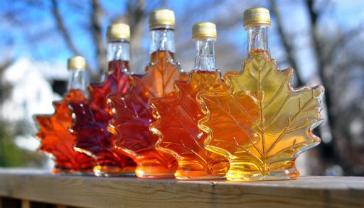 Different colour variatons of maple syrup made by a backyard hobbyist in Springhill, Nova Scotia.