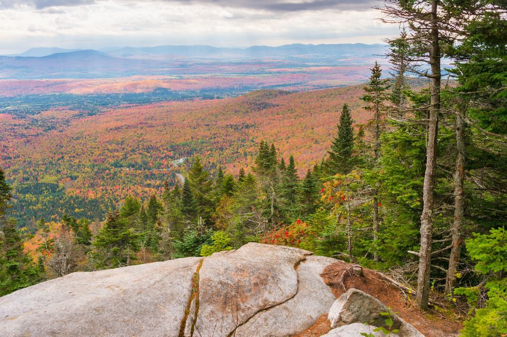 A panoramic view over fall colours