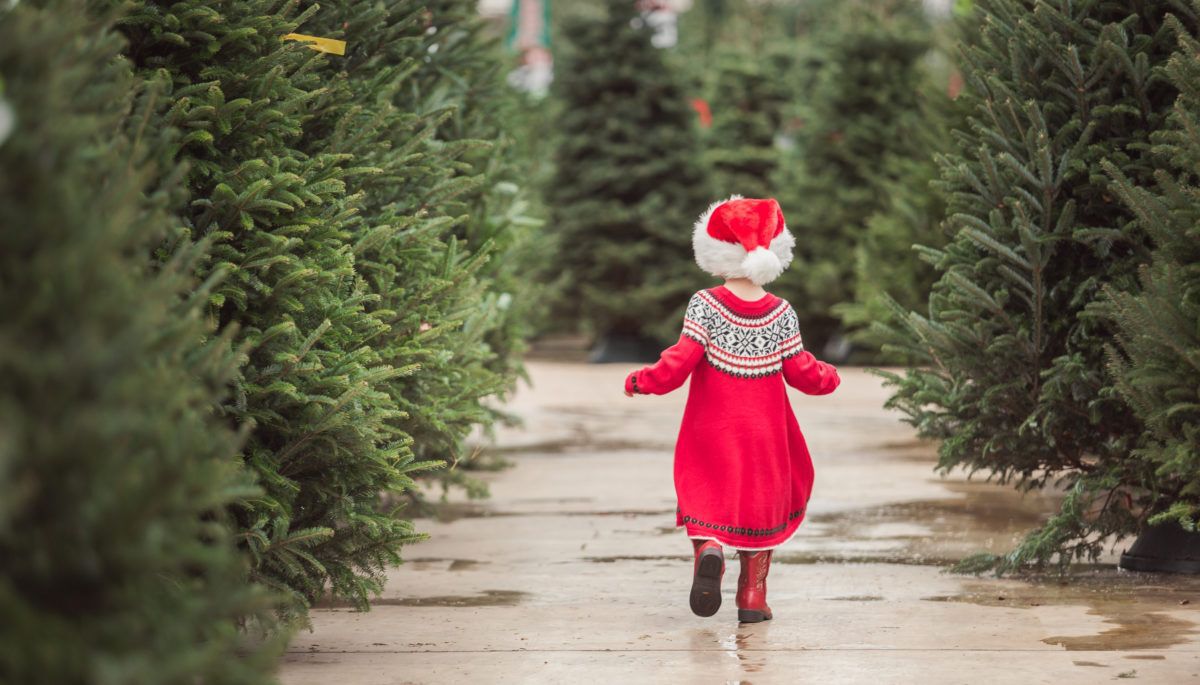 little-girl-running-through-christmas-tree-farm