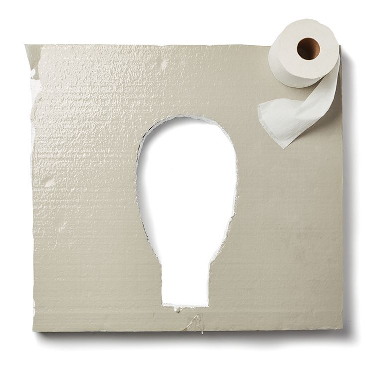 outhouse seat cut out of styrofoam