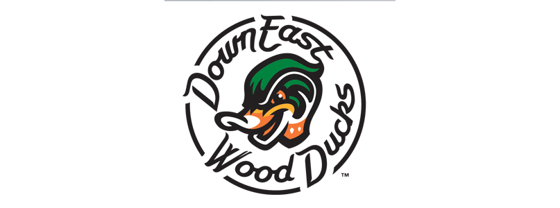 Down East Wood Ducks