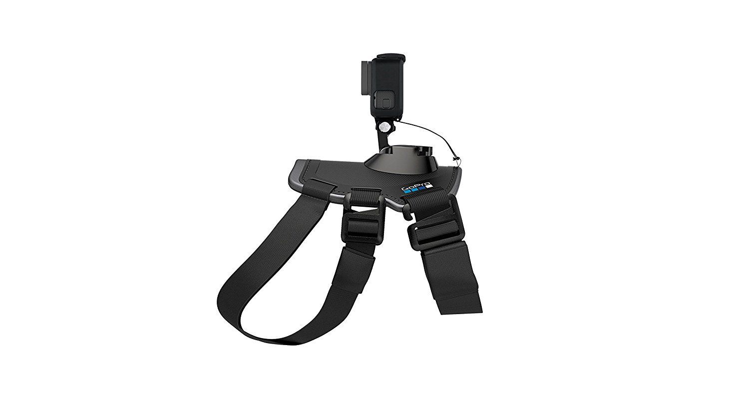 GoPro dog fetch harness