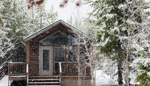 Wooden cabin in snow storm with trees