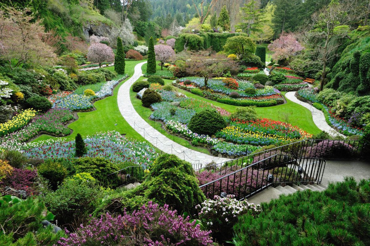 Sunken garden filled with groomed plants and flower beds.