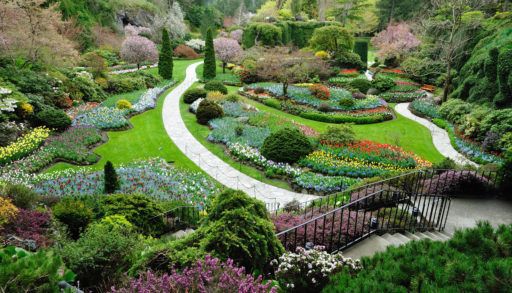 Sunken garden filled with groomed plants and flower beds.
