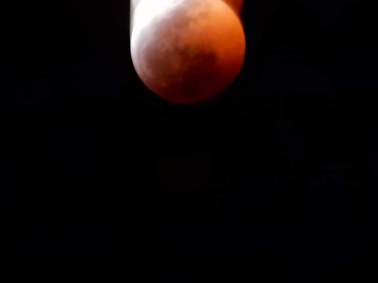 The super blood wolf moon