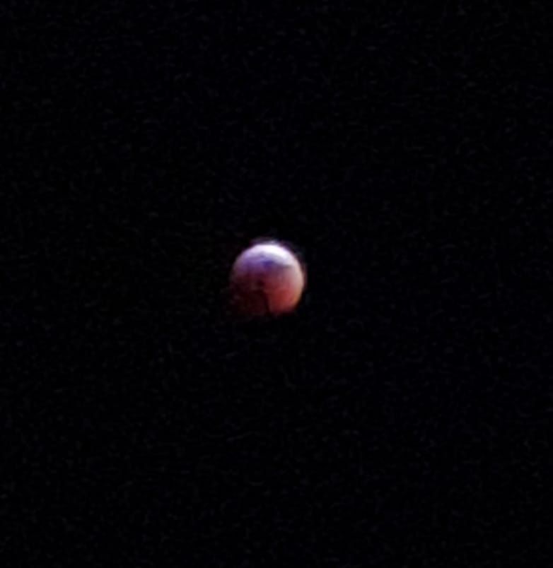 The super blood wolf moon