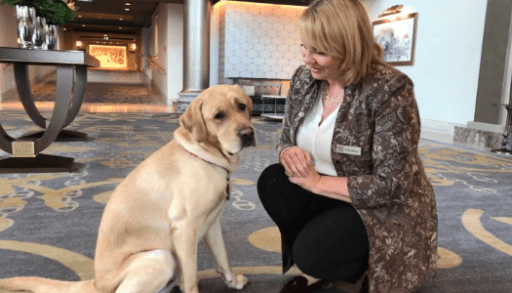 Winston the dog greeter at Fairmont Empress Hotel in Victoria, B.C.