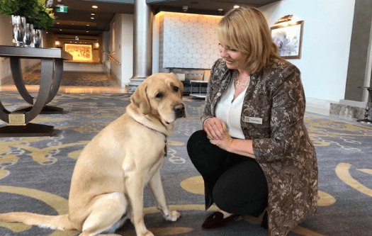 Winston the dog greeter at Fairmont Empress Hotel in Victoria, B.C.