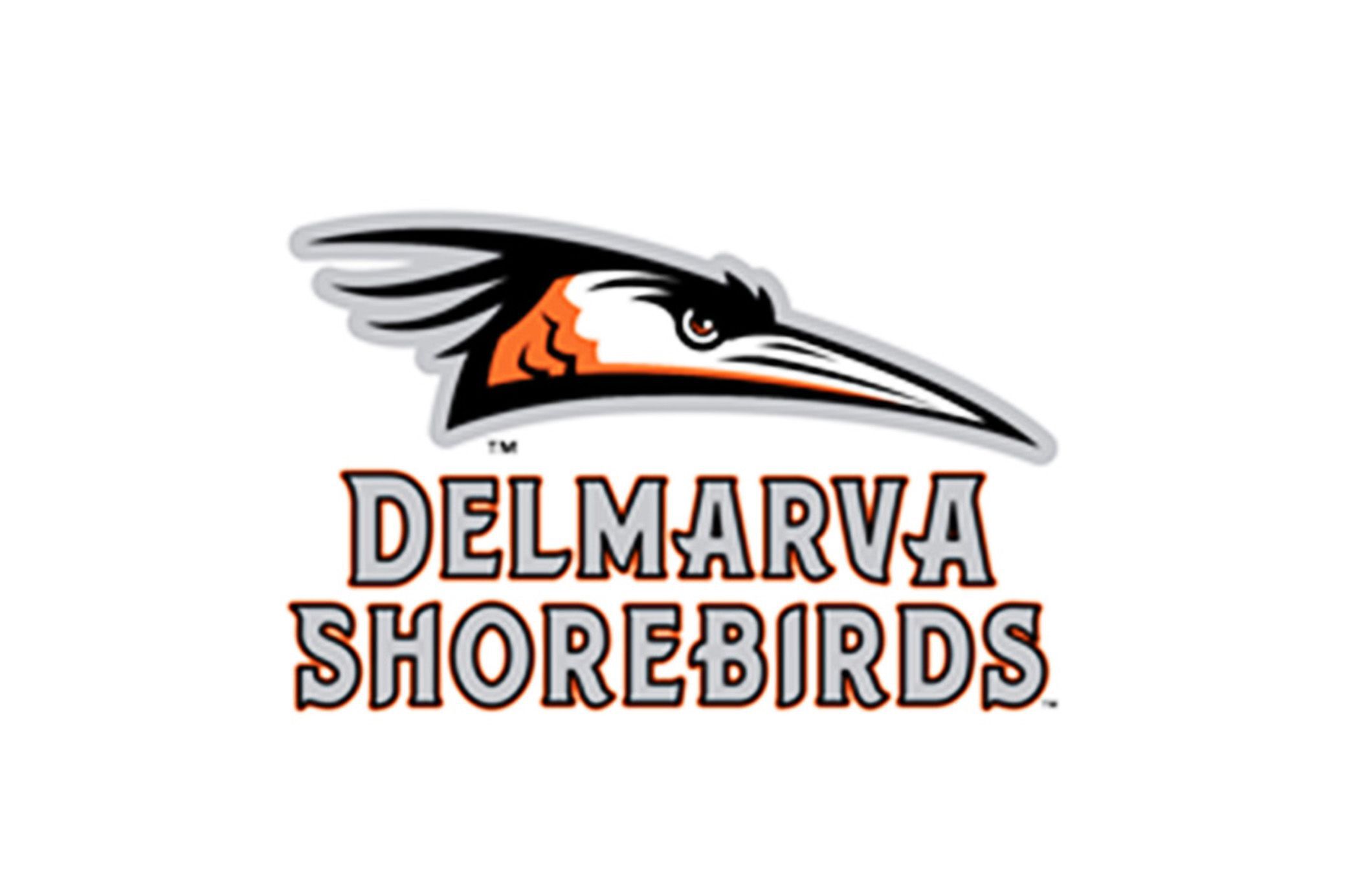 delmarva shorebirds logo