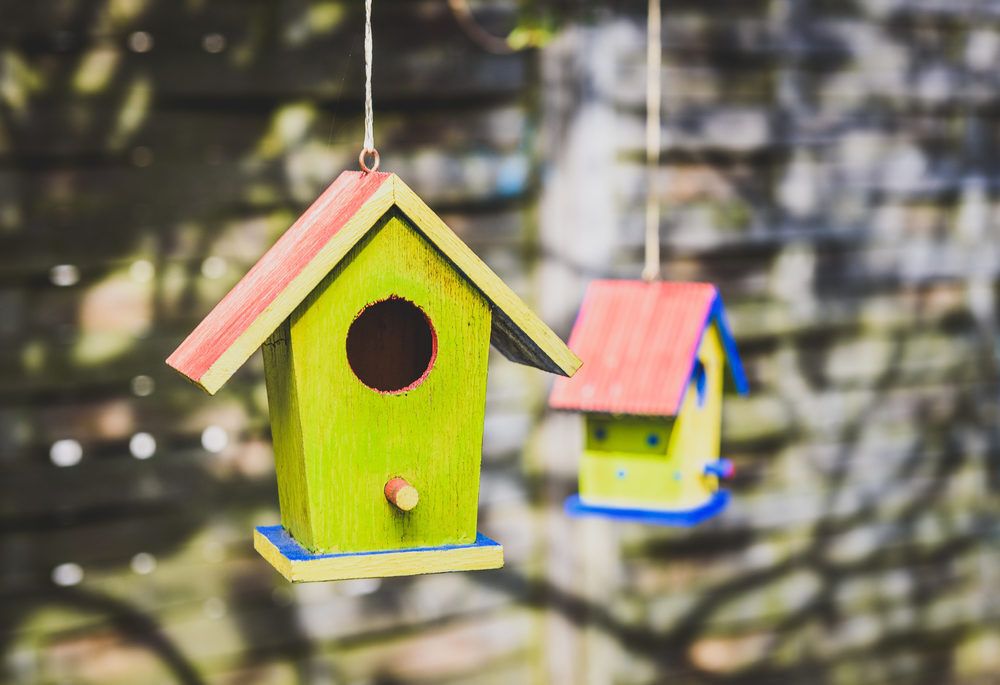 a-birdhouse-hanging-from-a-tree