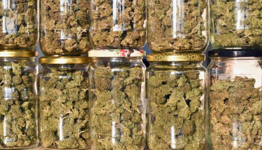 marijuana-in-jars-retail-shop