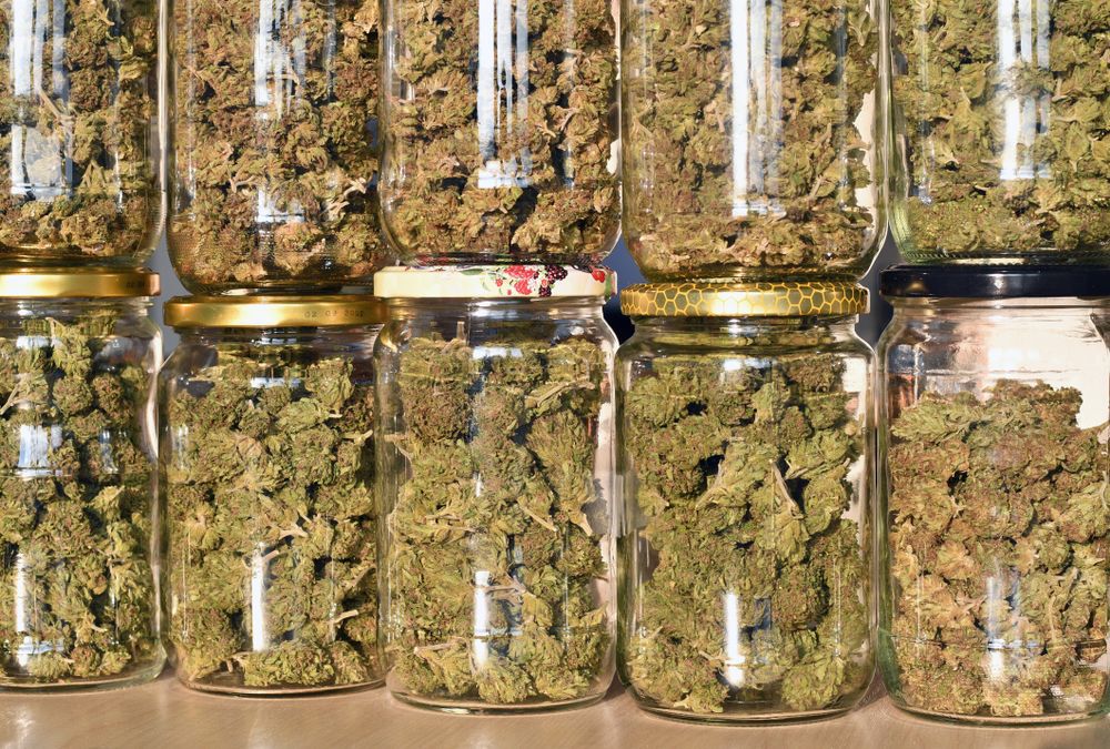 marijuana-in-jars-retail-shop