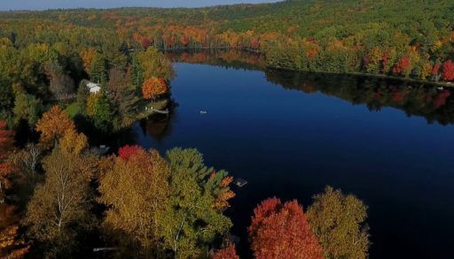 an aerial view of a fall scene of leaves and a lake