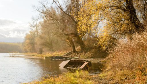 an-abandoned-boat-on-the-lake