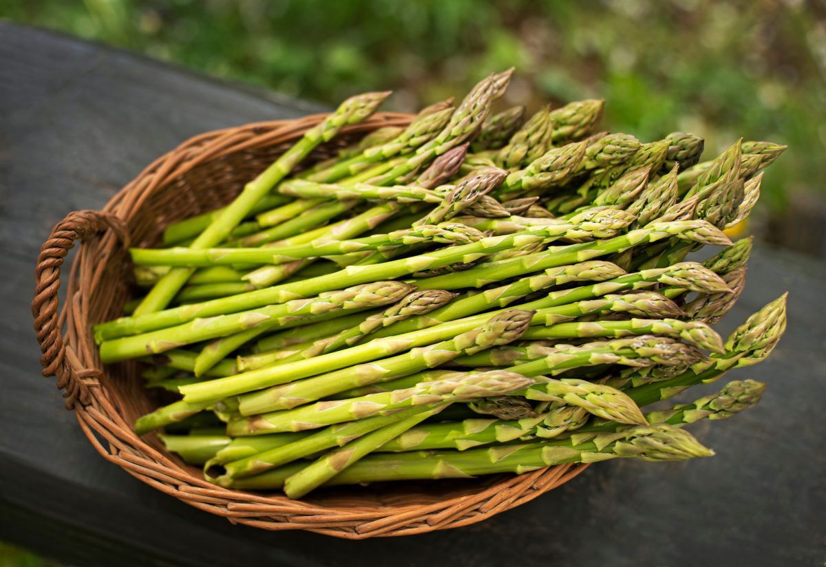 basket of fresh asparagus