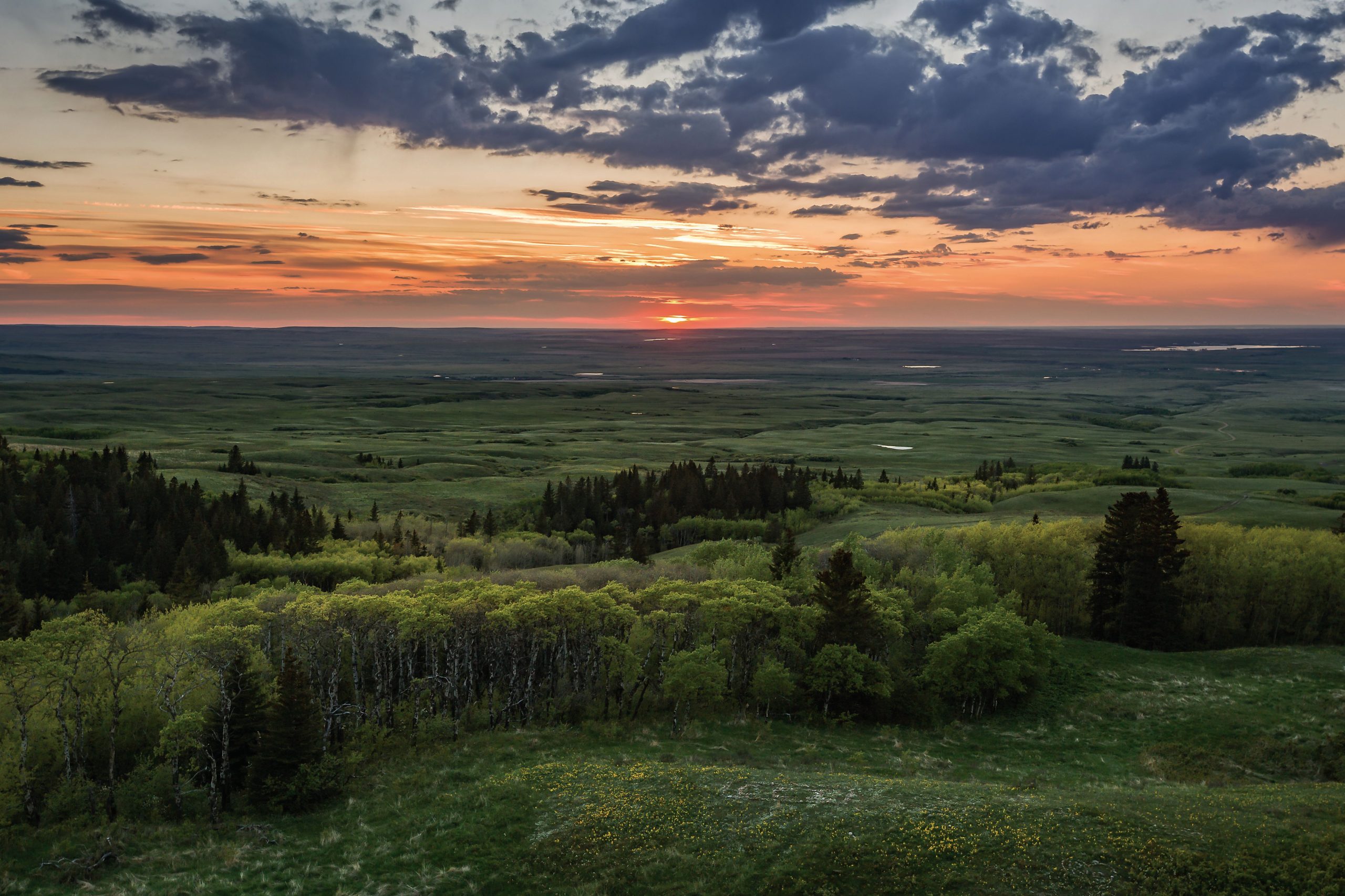 cypress-hill-provincial-park-landscape