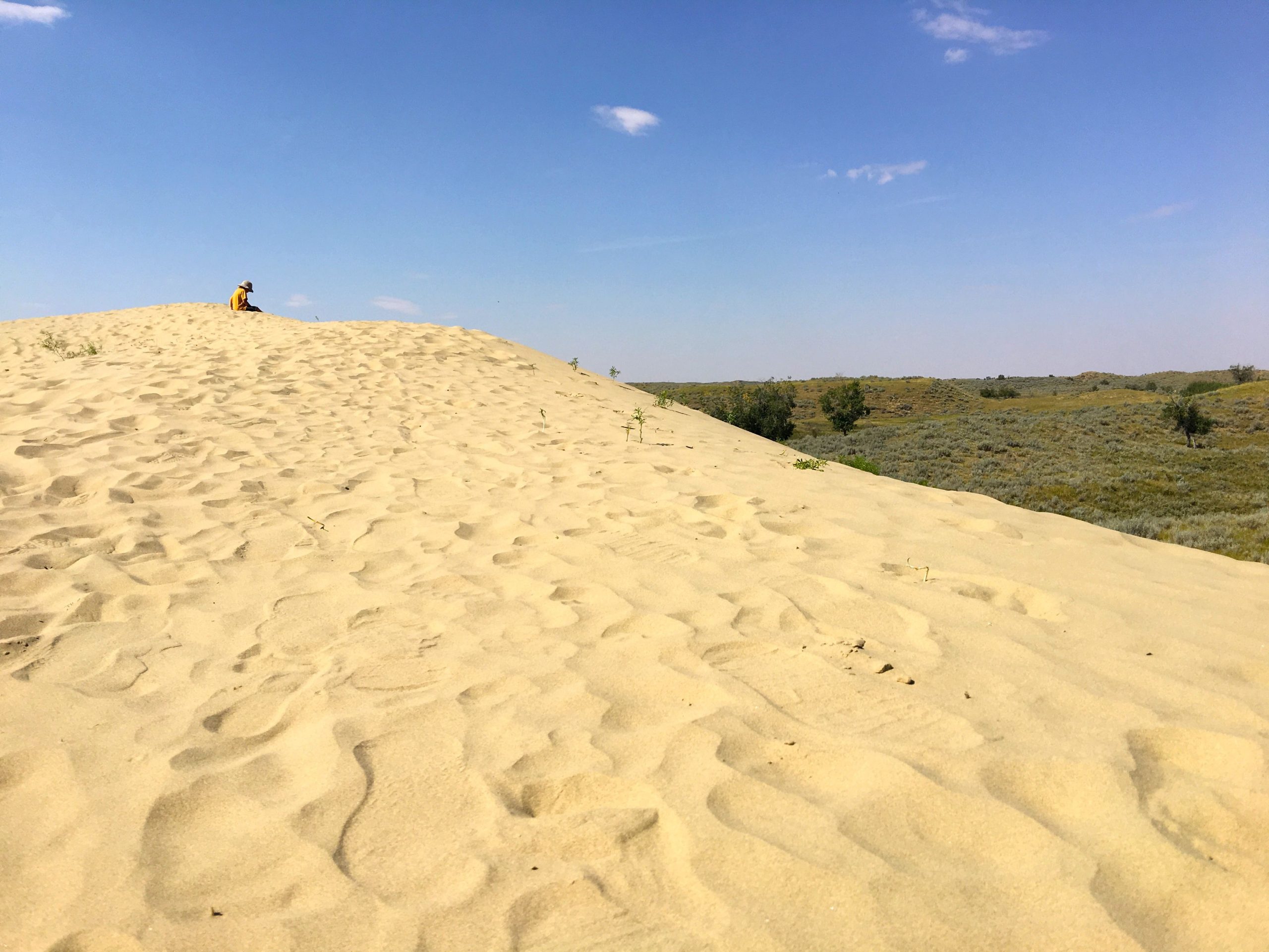 rolling-sandhills-in-saskatchewan