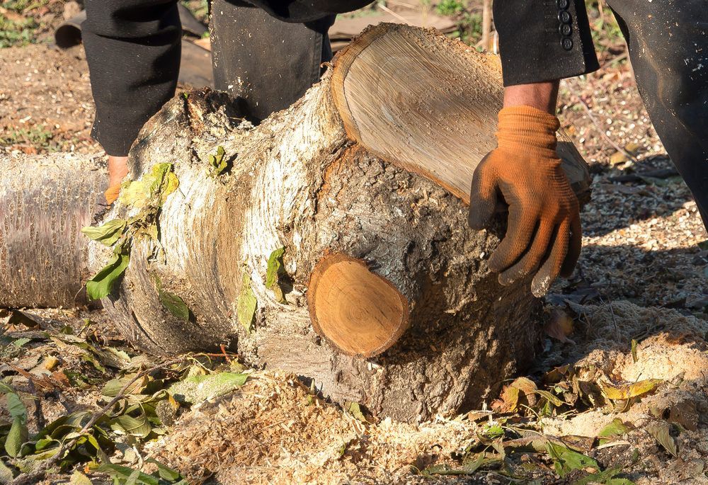 a-tree-stump-being-moved-in-a-garden
