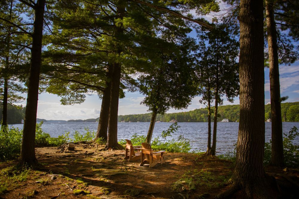 Two cottage chairs on an empty lot by a lake