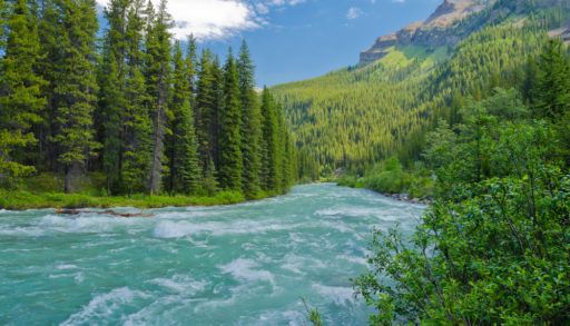 Mountain River at Rocky Mountains, Alberta, Canada