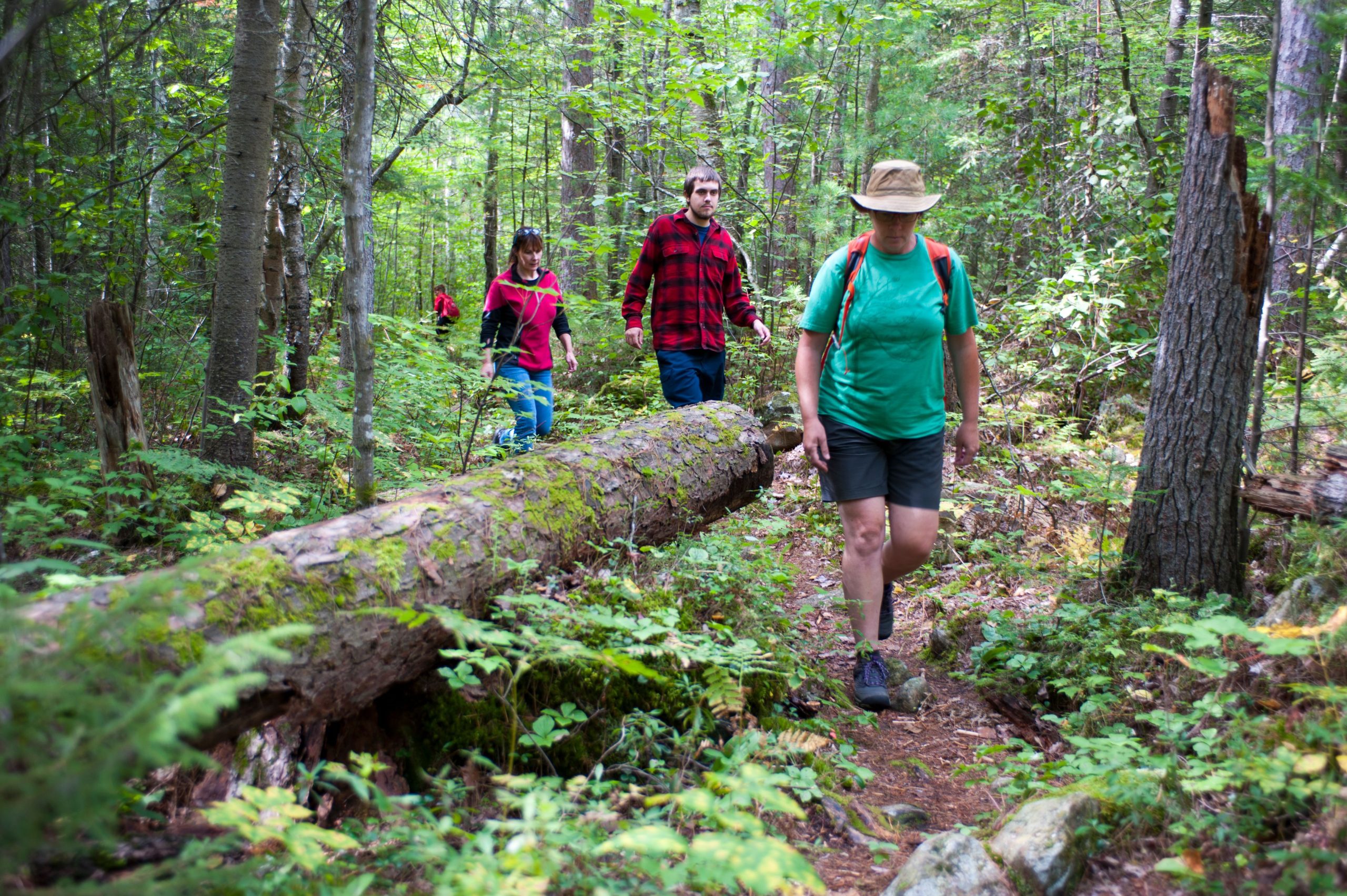 Hiking on trails at Samuel de Champlain Provincial Park