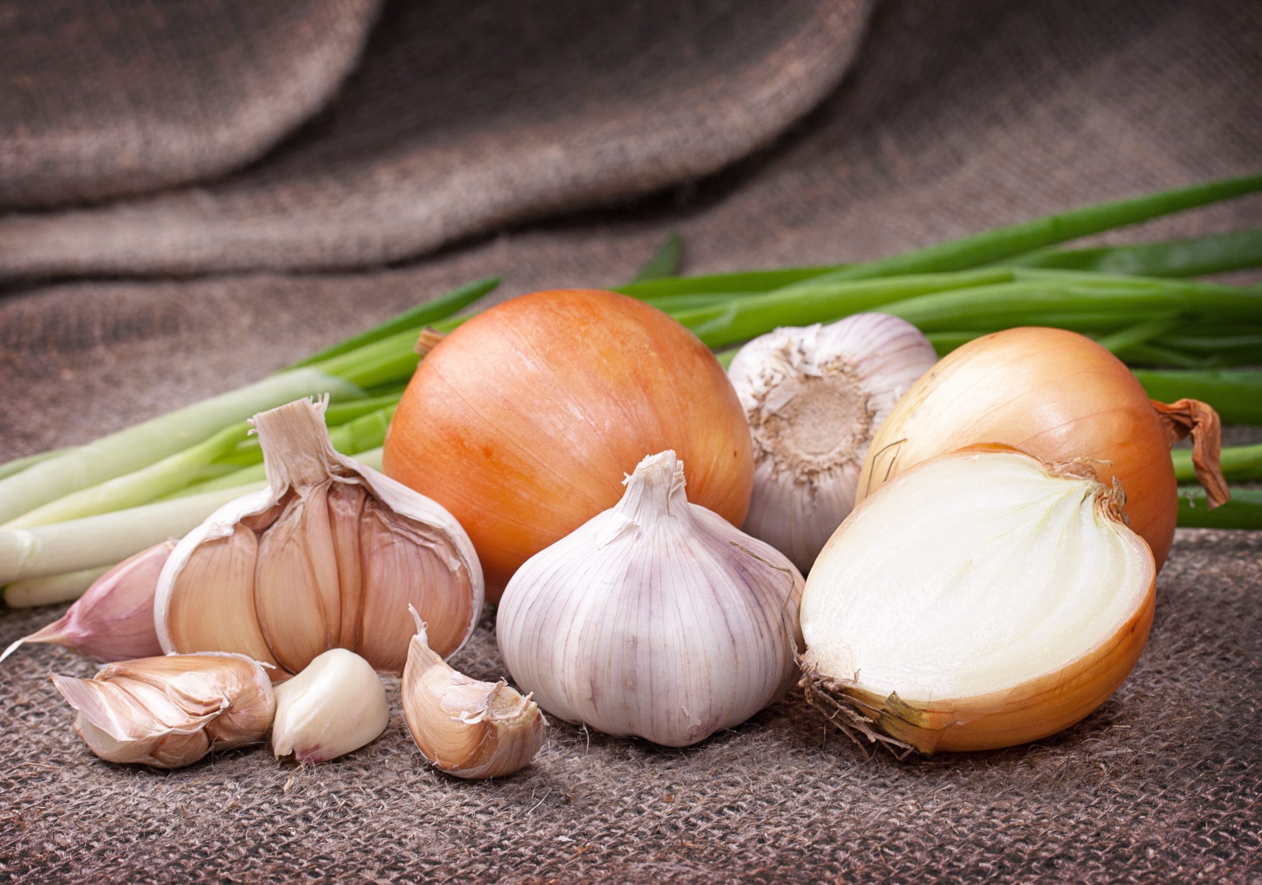 Onions and Garlic