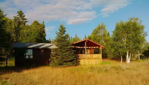 Photo of cottage with tees in front and around it