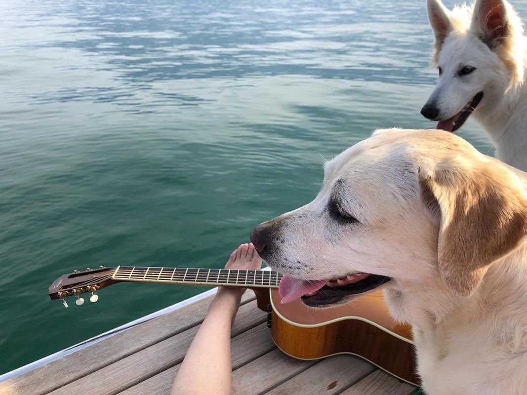 Guitar and dog sitting on dock