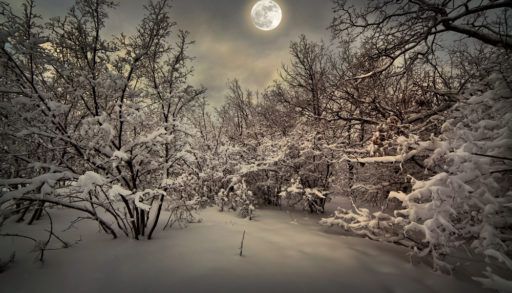 big-moon-with-winter-background