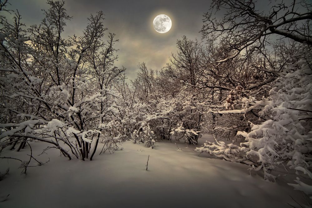 big-moon-with-winter-background