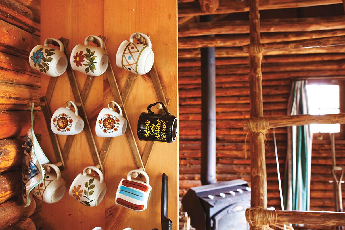 various mugs hanging on a wall