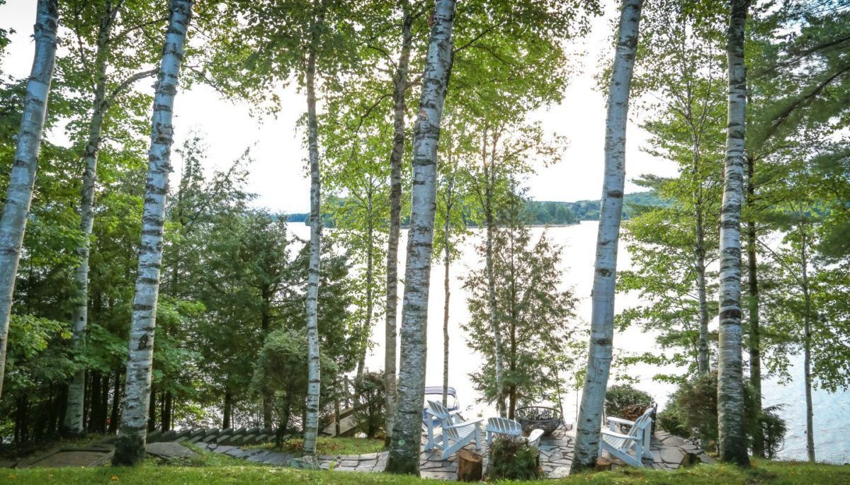 Lakeside cottage on Fairy Lake in Muskoka