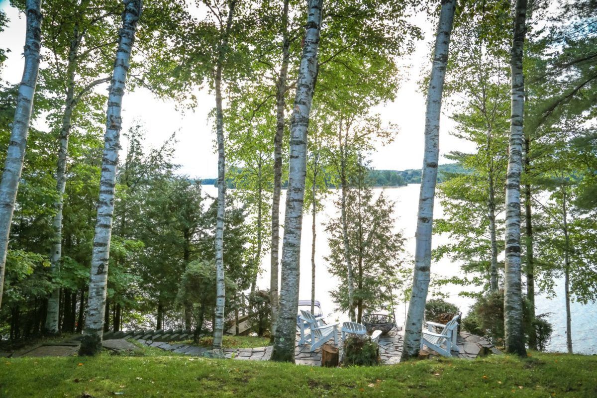 Lakeside cottage on Fairy Lake in Muskoka