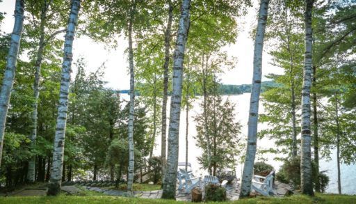 Lakeside cottage on Fairy Lake in Muskoka