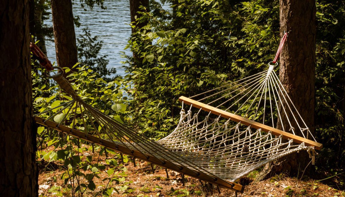 Hammock hanging between two trees with the lake in the background
