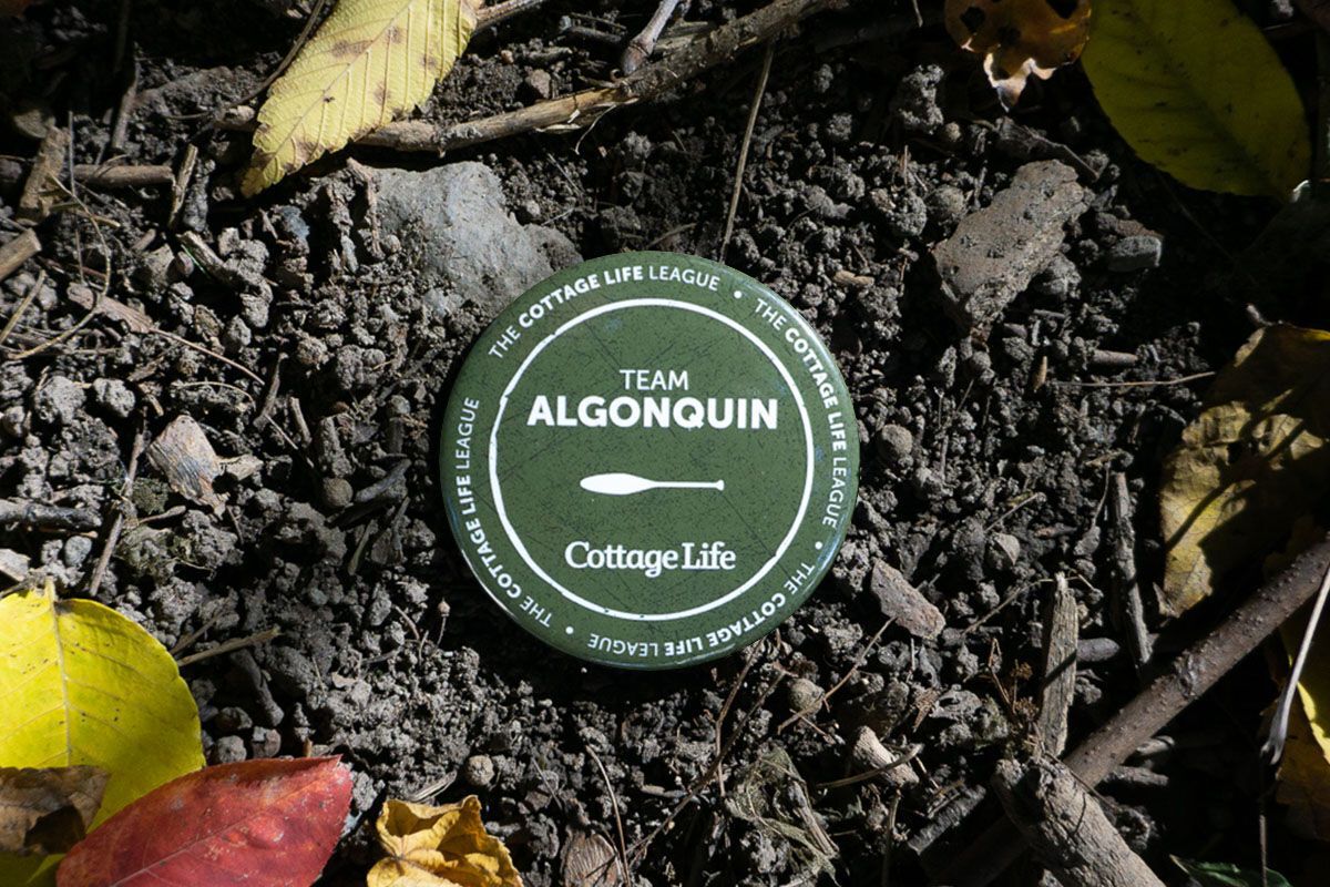 a button with Algonquin on it