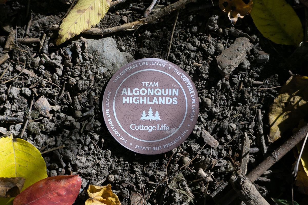 A button with the location Algonquin Highlands