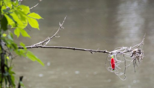 Red fishing lure caught in tree