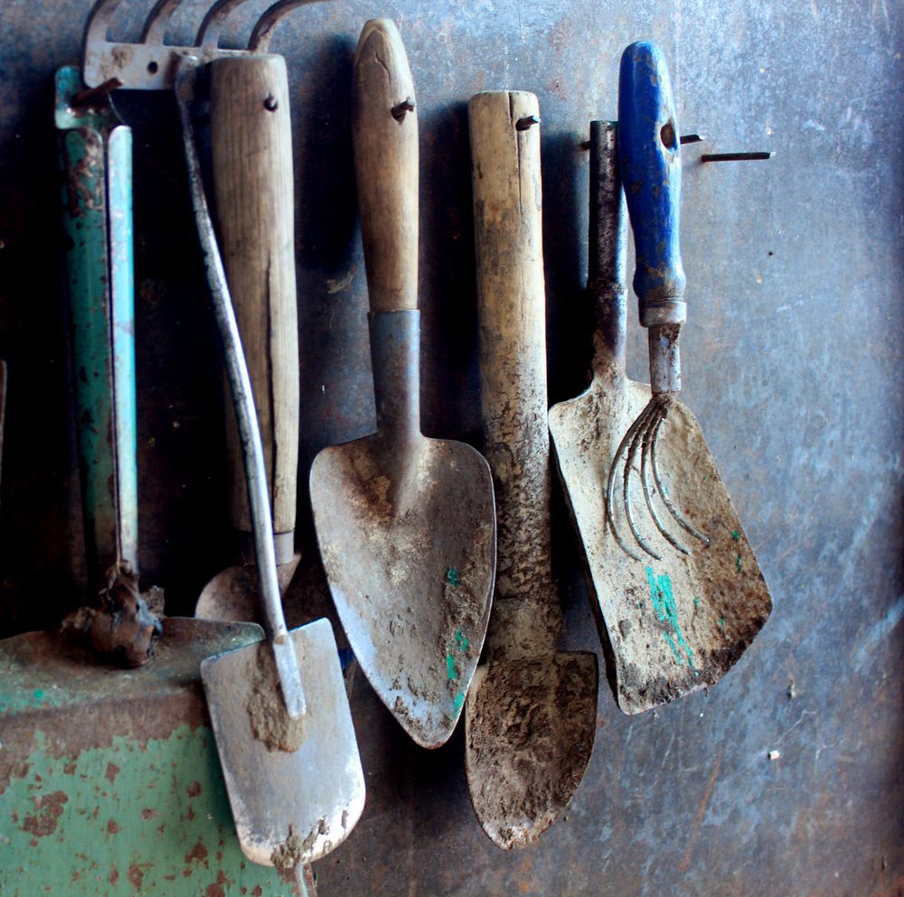 old dirty farm metal garden tools as shovels and rakes hanging on the wall on nails