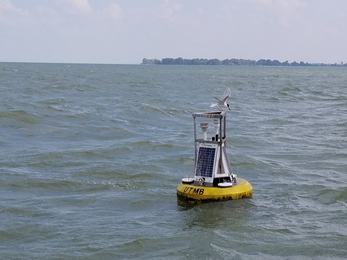 smart buoy
