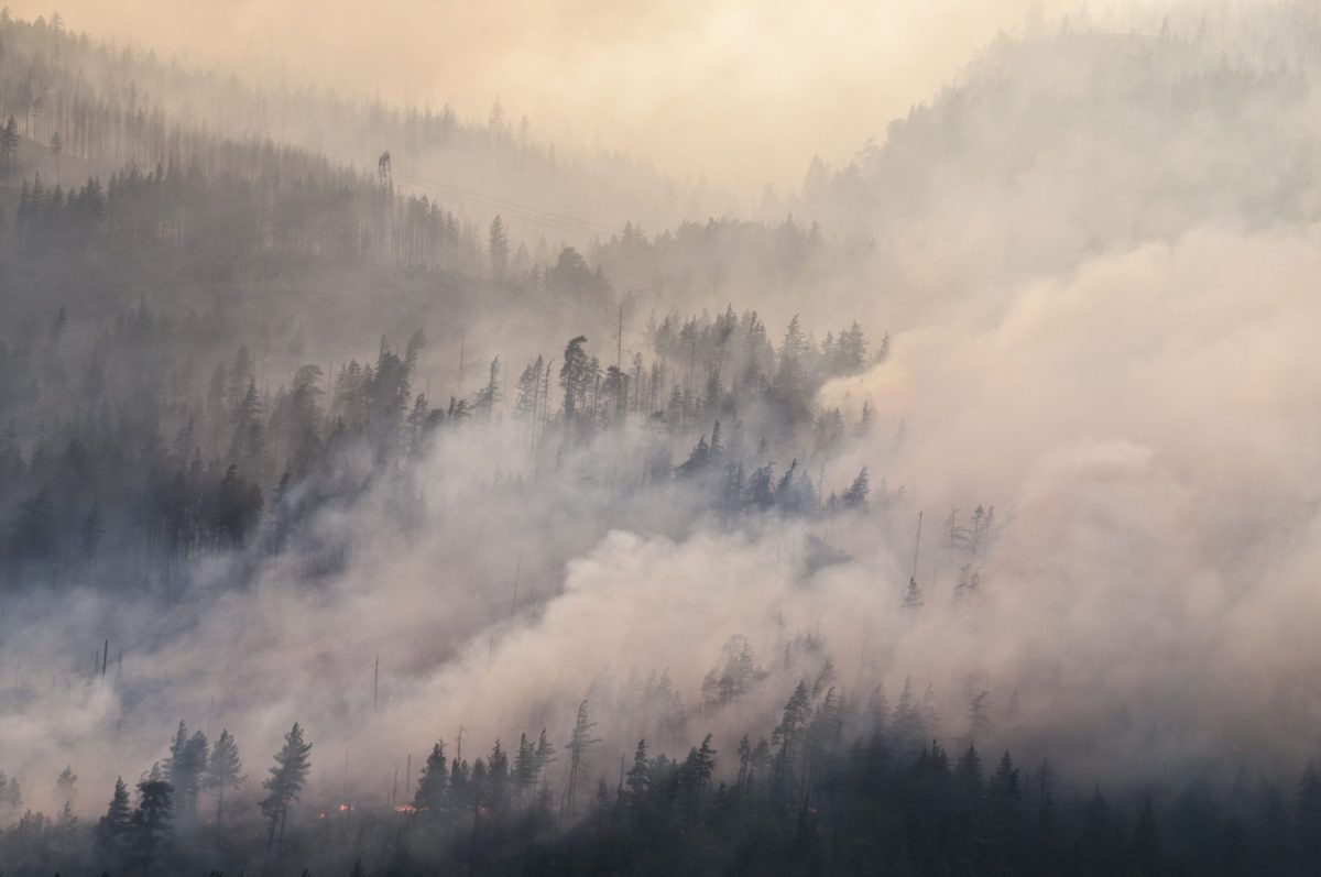 Smoky wildfire in a forest leading to higher insurance rates