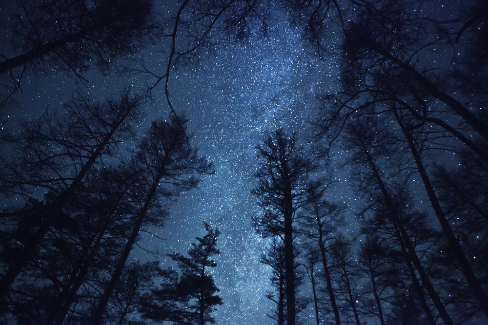 wintery starry sky