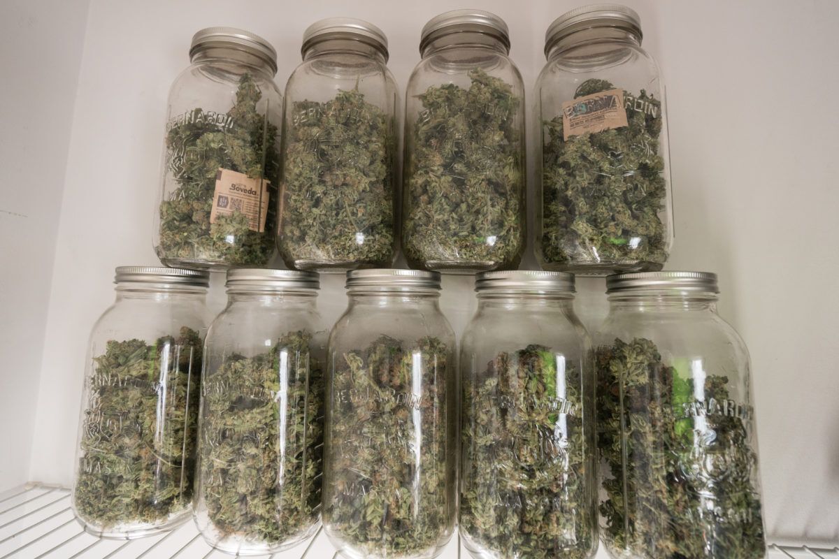 Cannabis stored in Mason jars