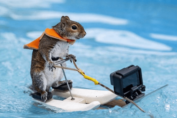 Twiggy on her waterskiis with a GoPro