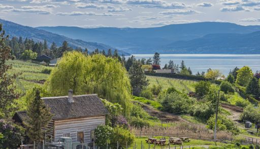 Kelowna, B.C., cabin subject to speculation tax