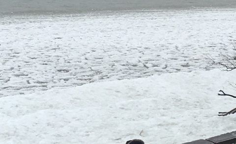 Search helicopter at Peacock Point