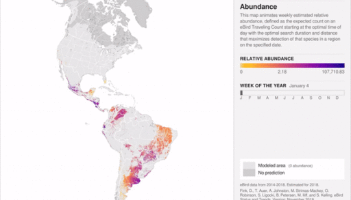 animated maps bird migrations