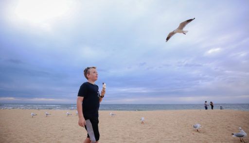 Boy with ice cream on beach with gulls around