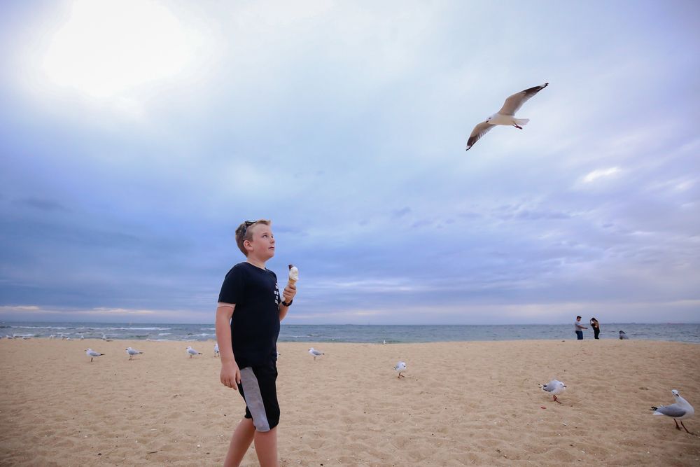 Boy with ice cream on beach with gulls around